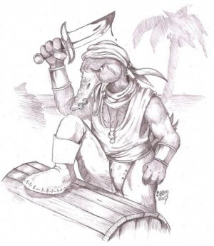 520px-Piratanka1 2.jpg